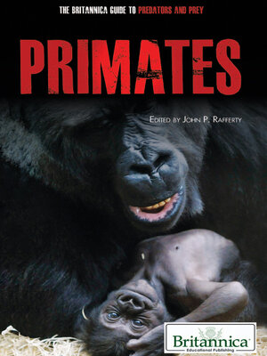 Primates - ebook